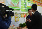 宁夏固原市原州区冷菜种植者学习新技术